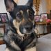 Pat Henderson - Facebook