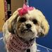 Pat Henderson - Facebook