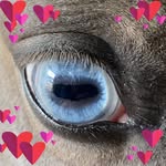 Pat Hess - @phess145 - Instagram