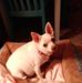Pat Hines - Facebook