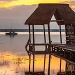 Pat Hines - @pat.hines.5686 - Instagram