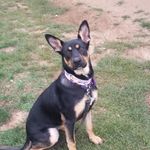 Pat Hobbs - @pat.hobbs.96387 - Instagram