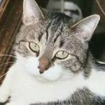 Pat Hobson - @pahobs - Instagram
