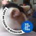 Pat Hobson - Facebook