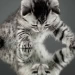 Pat Holbrook - @darellalin5_51_s - Instagram