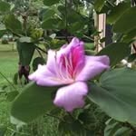 Pat Holder - @holderpat - Instagram