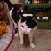 Pat Holder - Facebook