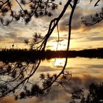 Pat Holder - @dickeylakecoehill - Instagram