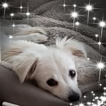 Pat Horvath - @horvath.pat - Instagram