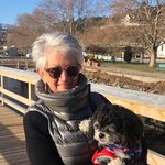 Pat Huber - @pathuber12 - Instagram