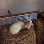 Pat Huber - @munderpat1 - Instagram