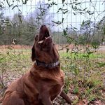 Pat O'Brien Janda - @lovinlyfe1023 - Instagram