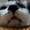 pat.john - @pat.john - TikTok