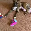 patriciajoiner0939 - @patriciajoiner0939 - TikTok