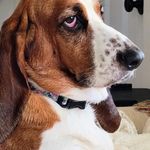 Pat Justus - @642saluda - Instagram