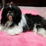 Pat Kenney - @pat.kenney.988 - Instagram