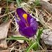 Pat Kerwin - Facebook