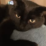 Pat Kilpatrick - @pat.kilpatrick.52 - Instagram