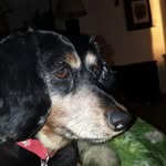 Pat Kindler - @kindlerpat98 - Instagram