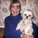 Pat Kinney - @patkinney33 - Instagram