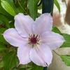 Patti Kinney - @pak5822 - TikTok