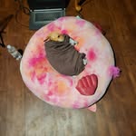 Pat Kinzer - @pat_a_cake420 - Instagram