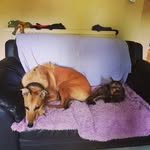patricia kirkham - @kirkham795 - Instagram