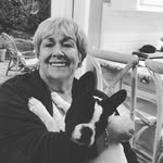 Pat Klein - @klein361 - Instagram
