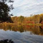 Pat Klein - @klein9060 - Instagram