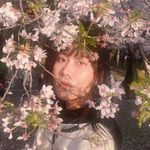 ⓀⓃⓄⓍ - @patknoxpt - Instagram