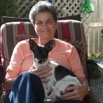 Pat Koenig - @patkoenig12 - Instagram