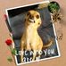 Pat Koenig - Facebook
