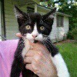 Pat Kolb - @patkolb - Instagram