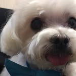 Patricia Kopp - @pat.kopp - Instagram