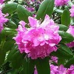 Pat Kramer - @patkramer1941 - Instagram