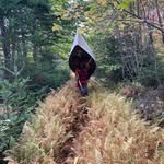 Pat Kramer - @birdboy008 - Instagram
