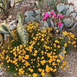 Pat Kramer - @kramer.pat - Instagram