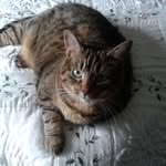 Pat Kramer - @pkramer48 - Instagram