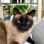 Pat Kramer - Facebook