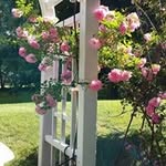 Pat Kramer - @pat.kramer.794 - Instagram
