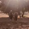 patskramer - @patskramer - TikTok