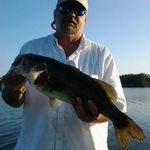 Pat Krause - @pat_krause_50 - Instagram