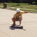 Pat Krebs - Facebook