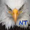 Pat Lach58 - @patlach1 - TikTok