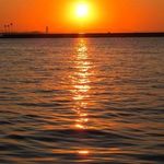 Pat Lacy - @patllacy - Instagram