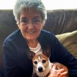 Pat Lacy Schneider - @patlacyschneider - Instagram