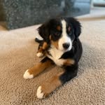 Patrick Lahey - @patrick.lahey - Instagram