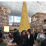 Pat Lai - @patlai123 - Instagram
