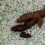 Pat Lai - @cheater.94 - Instagram
