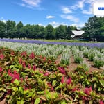 Pat Lai - @twilai777 - Instagram